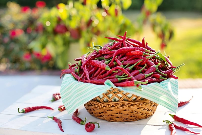 Sunfire Peppers