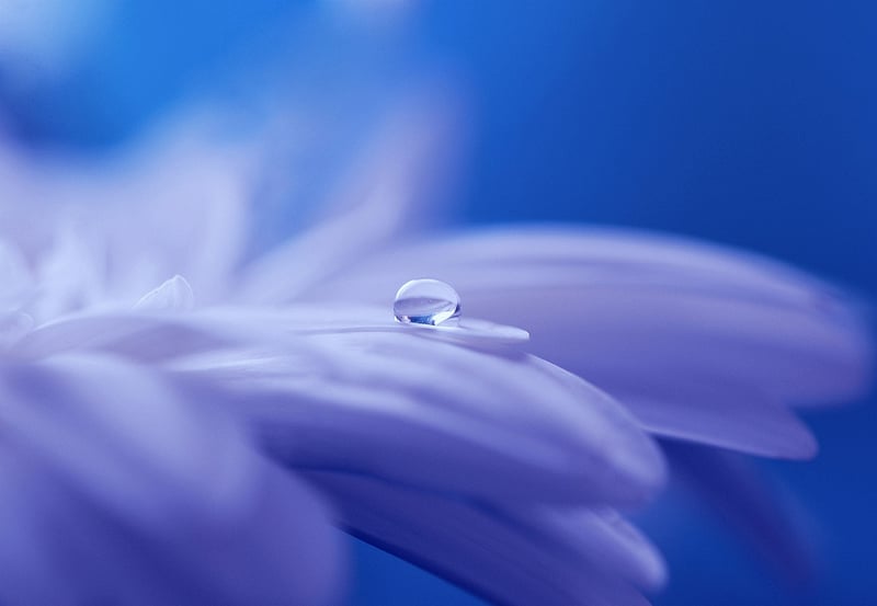 Enchanted Care